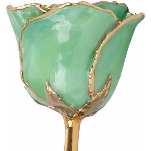 Lacquered Peridot Colored August Birthstone Rose with Gold Trim
