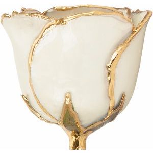 Lacquered Pearl Colored June Birthstone Rose with Gold Trim