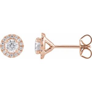 14K Yellow  Lab-Grown Diamond Halo Stud Earrings