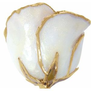 Lacquered White Sparkle Diamond Colored April Birthstone Rose with Gold Trim
