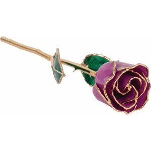 Lacquered Amethyst Colored February Birthstone Rose with Gold Trim
