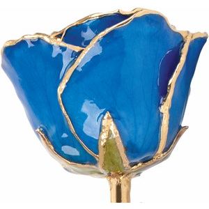 Lacquered Blue Sapphire Colored September Birthstone Rose with Gold Trim