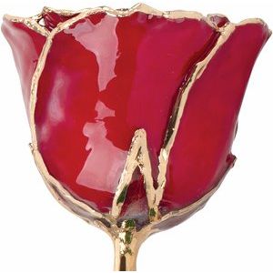 Lacquered Ruby Colored July Birthstone Rose with Gold Trim