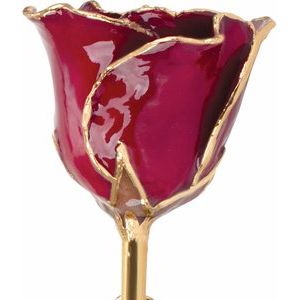 Lacquered Garnet Colored January Birthstone Rose with Gold Trim
